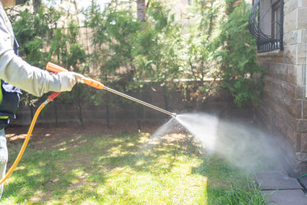 Best Fumigation Services  in Atwood, IL